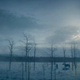 Illustration for article titled The Revenant reimagines the look of the Western by squeezing the wild frontier
